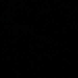 Meet your Posher, Chanda